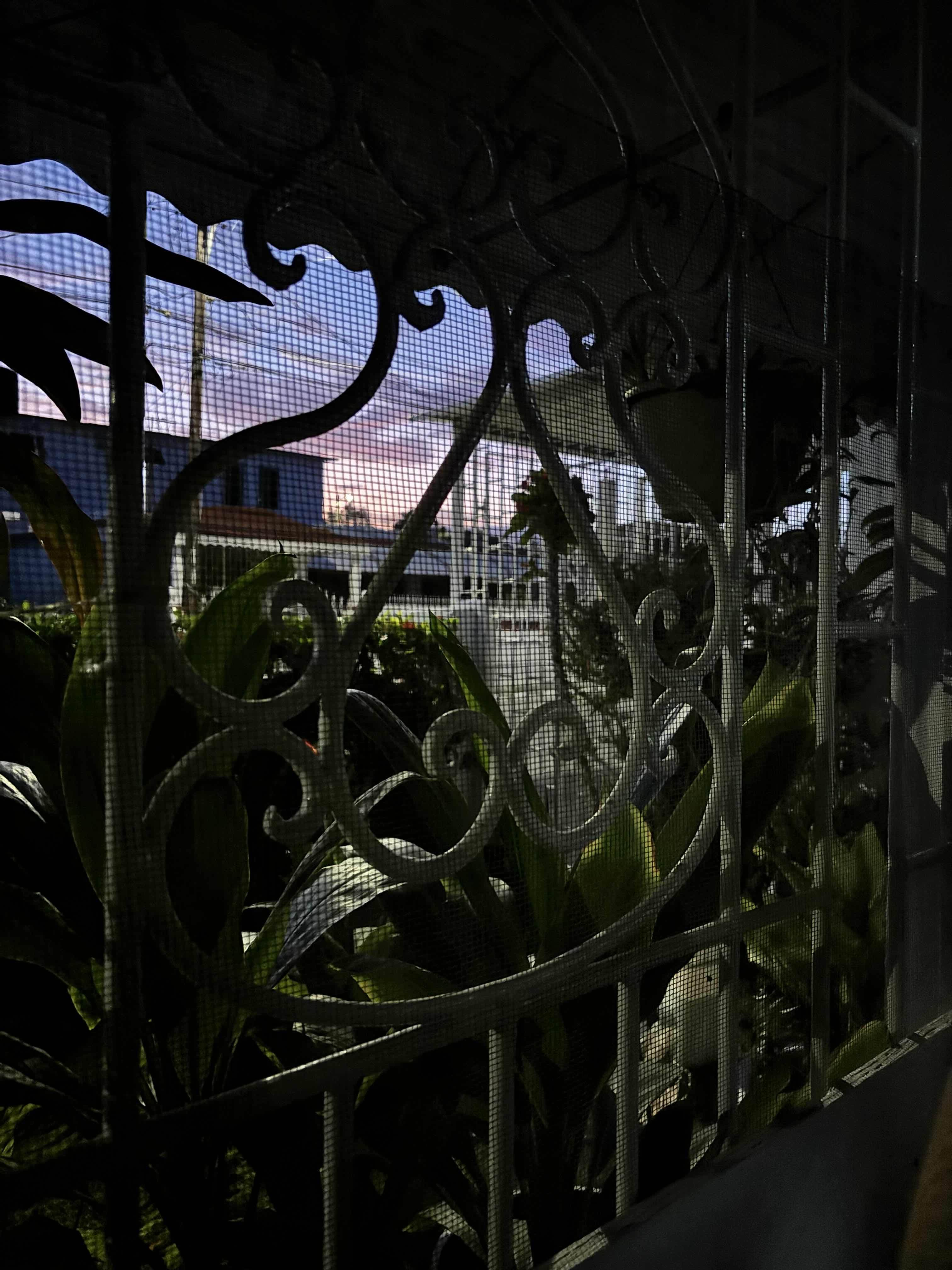 The evening sky from the patio